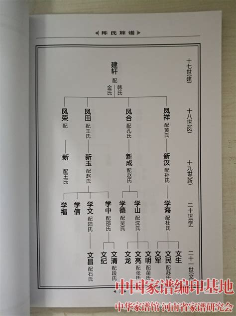 潮州陈氏族谱|广东潮汕地区陈氏派系宗源